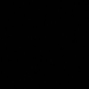 Meet your Posher, Tayler